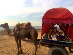 Camel-Cart in der Thar-Wüste nahe Pushkar