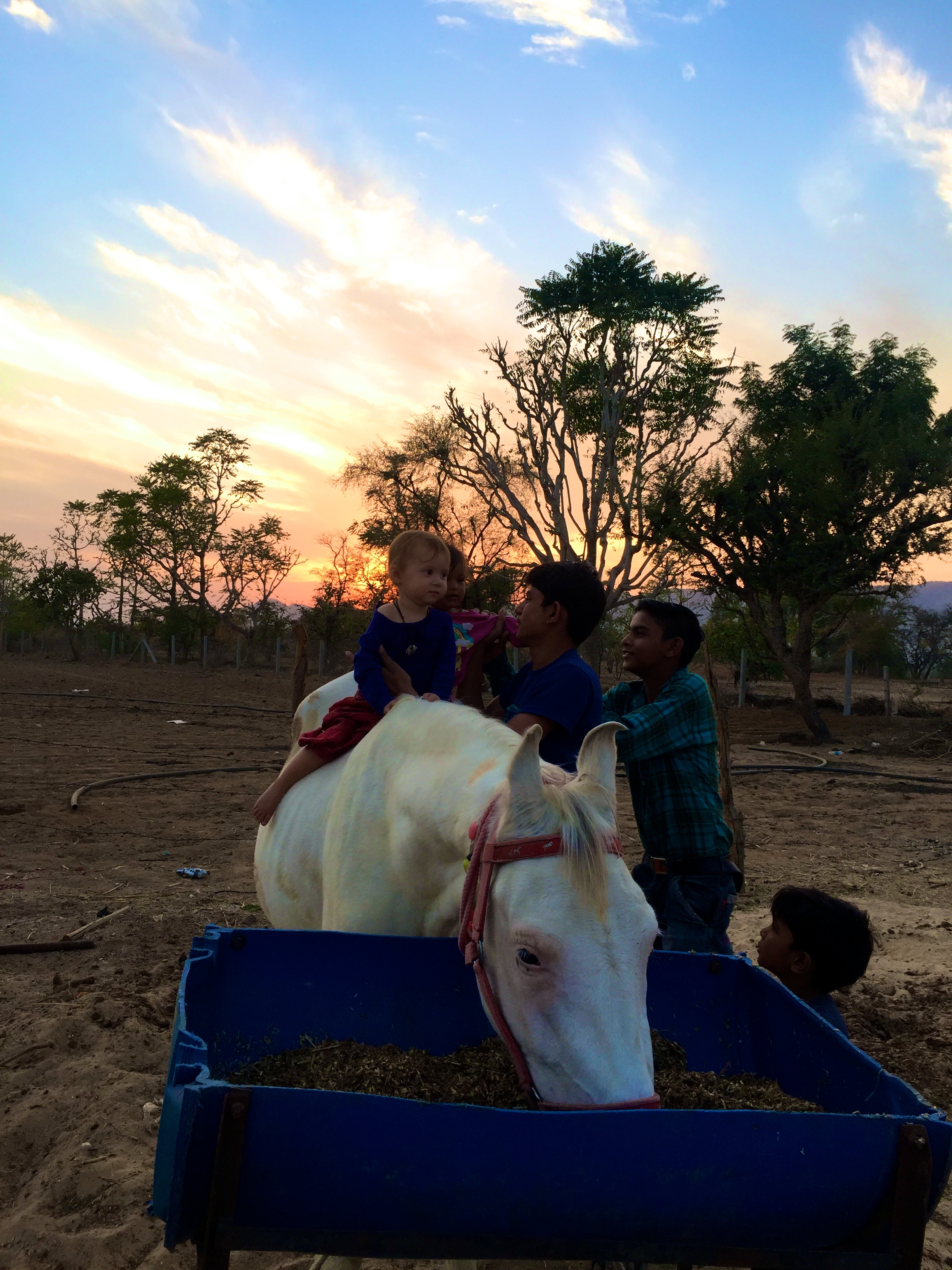 Kinder sitzen auf Pferd, Indien