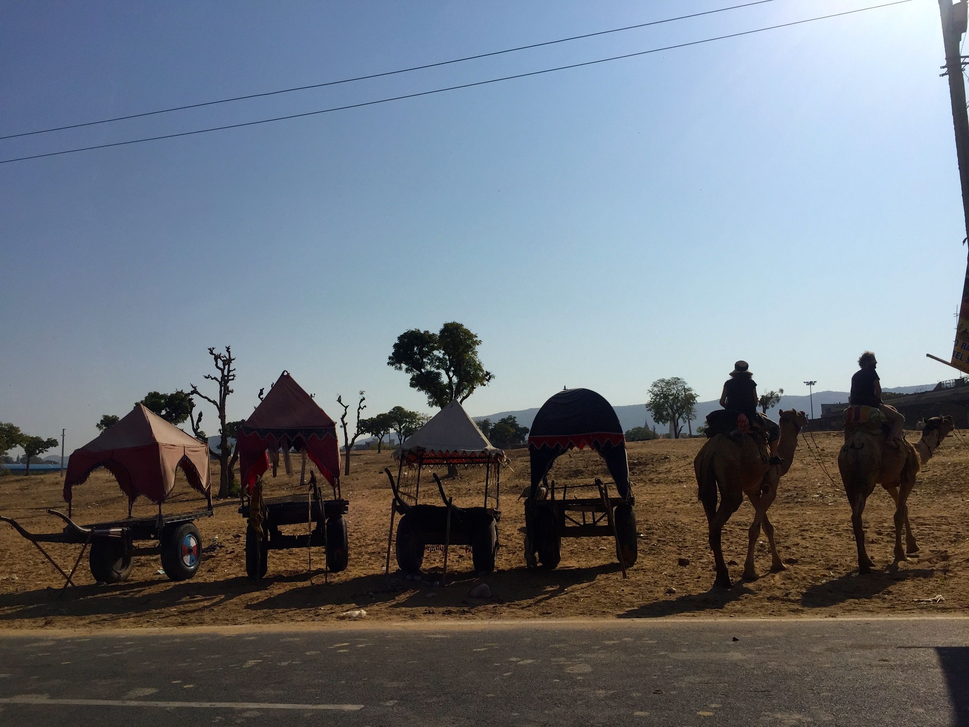 Camel-Carts in der Nähe von Pushkar