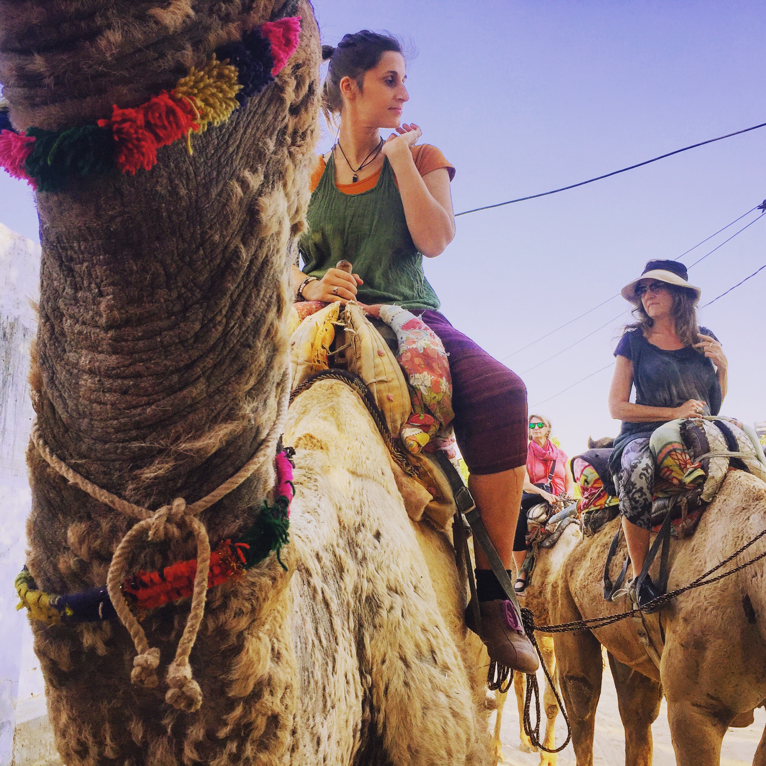 2 Frauen auf Kamelen