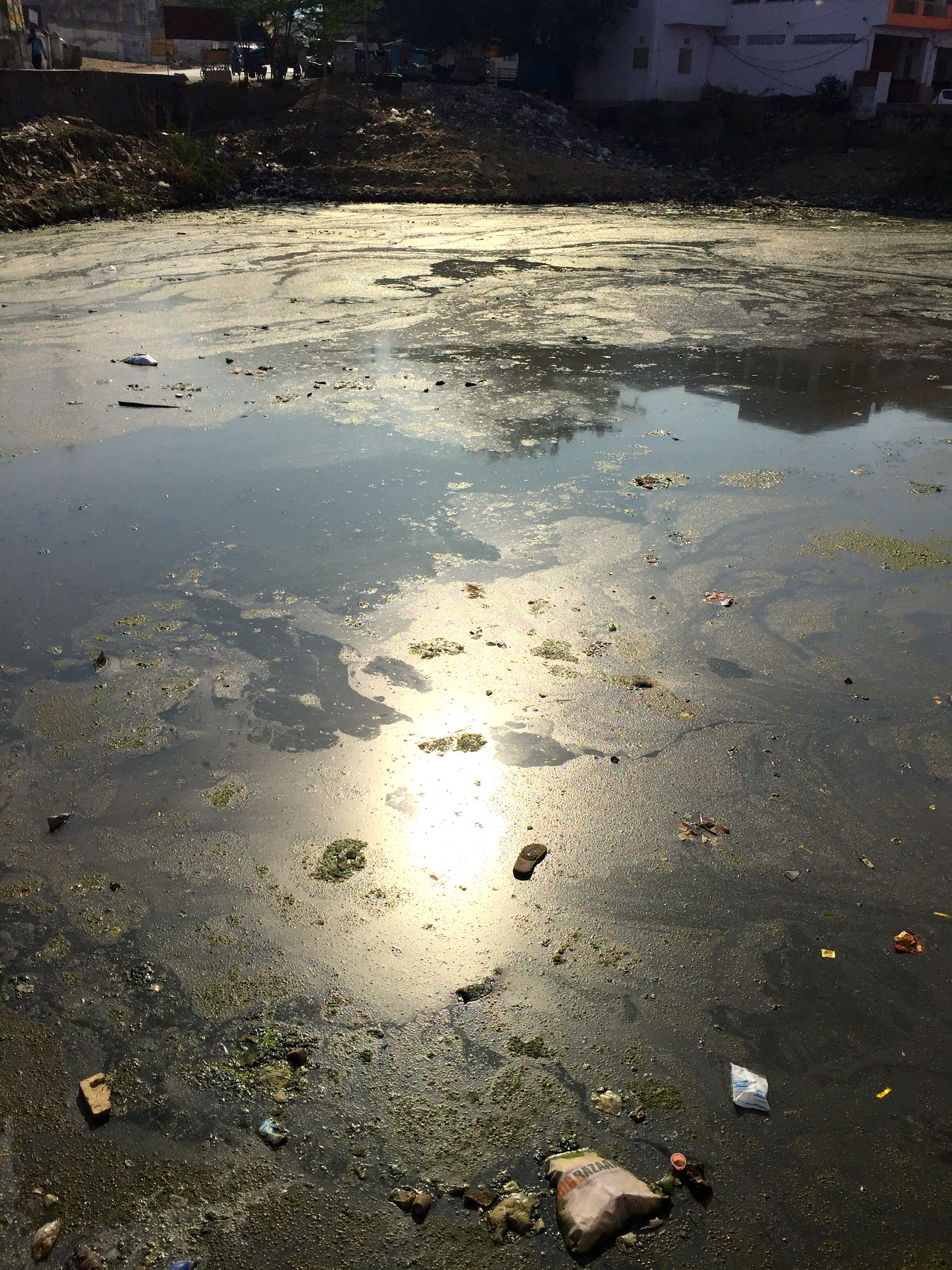 Verschmutzter See in Pushkar