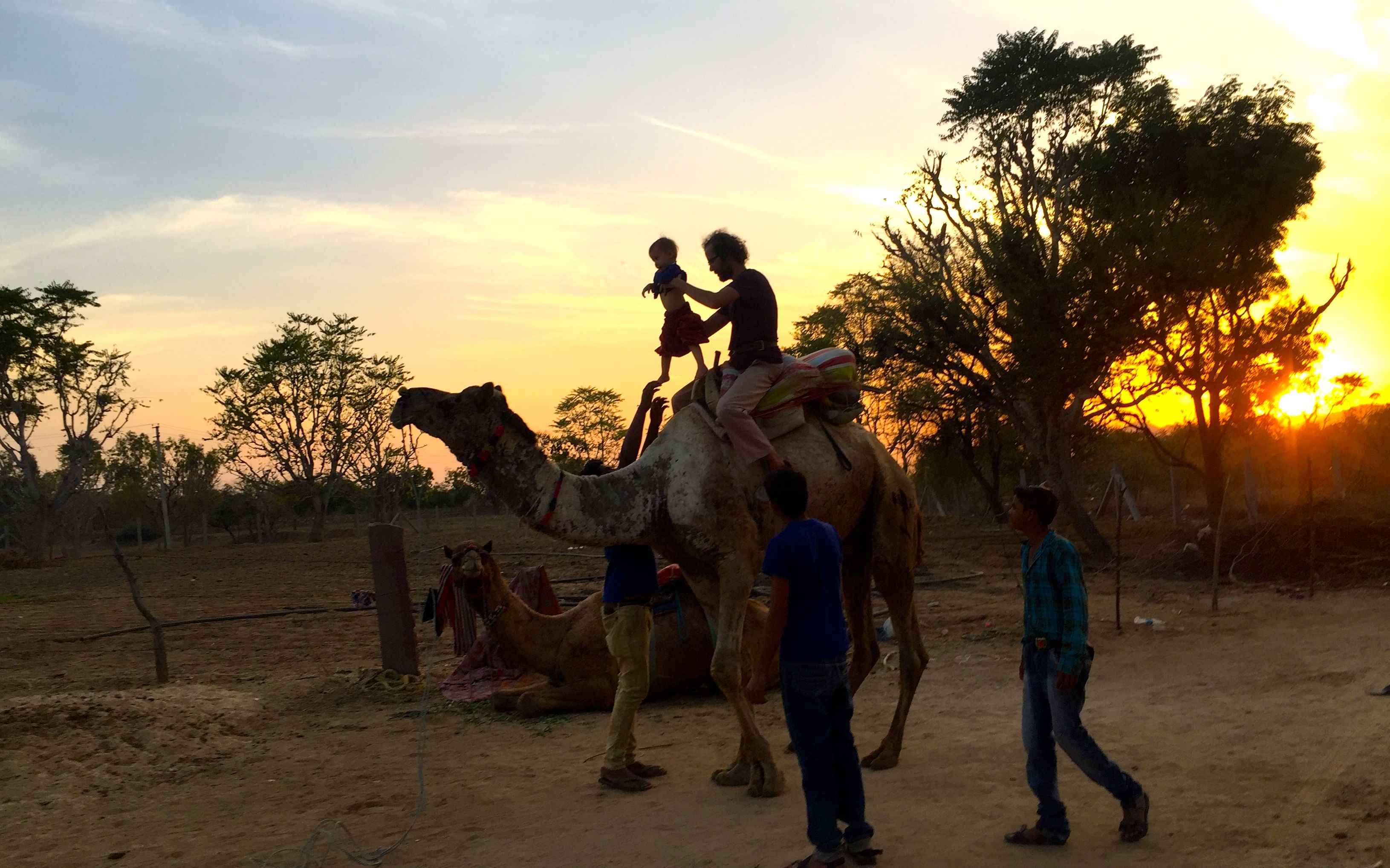 Wir sind auf Kamelsafari in der Wüste Thar und reiten ins Abendrot.